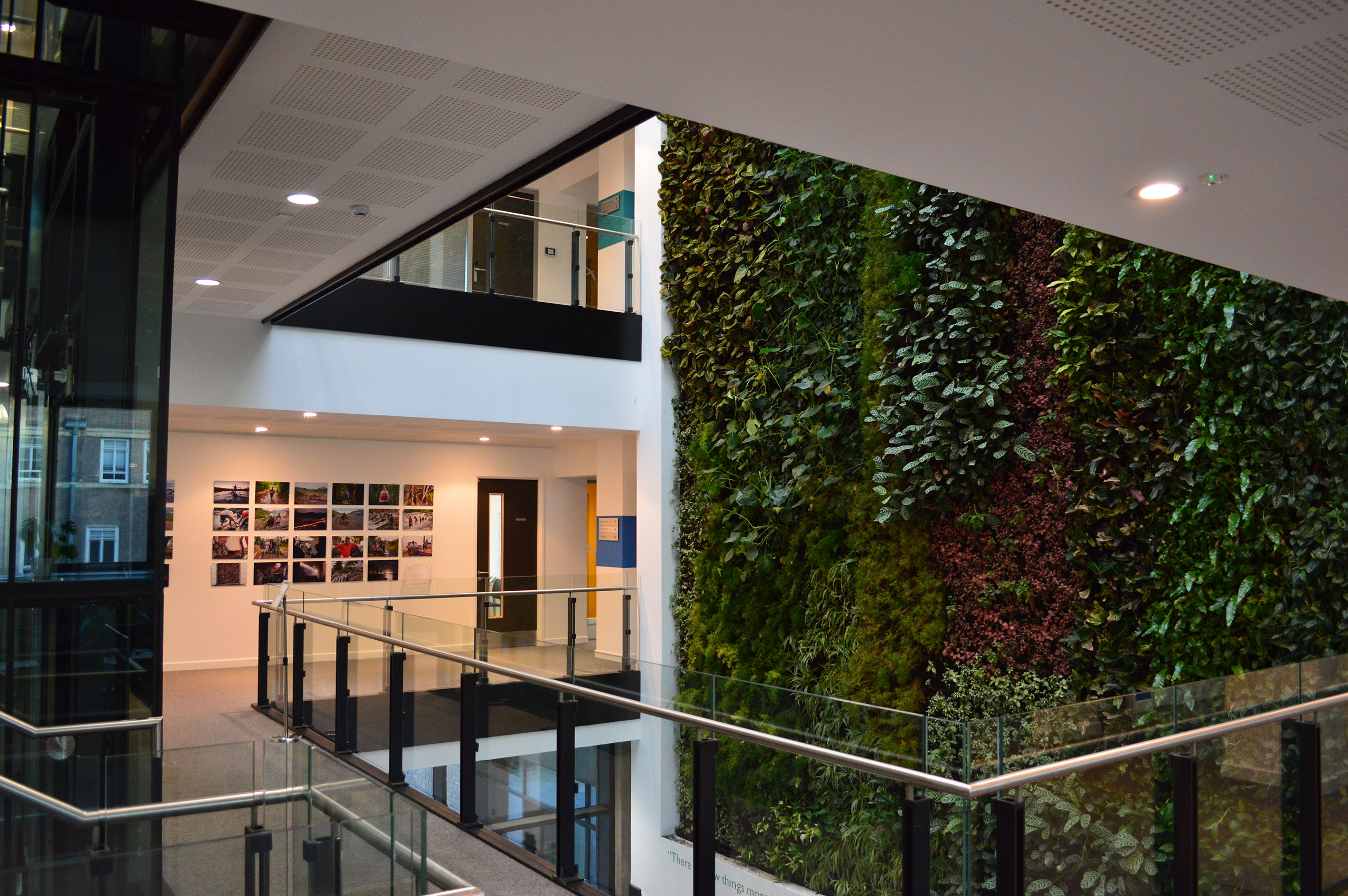 Girl sitting in her tent with a coffee